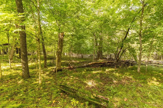 $315,000 | Lot 3 407th Street North, Dent, MN 56528