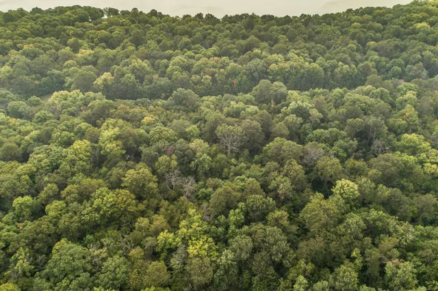 $315,000 | Lot 3 407th Street North, Dent, MN 56528