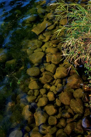 $315,000 | Lot 3 407th Street North, Dent, MN 56528