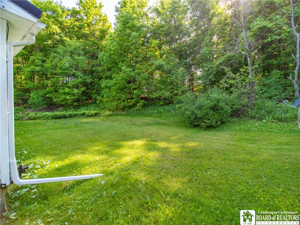 9853 Livermore Road Arkwright, NY 14063 - Photo 7 of 34