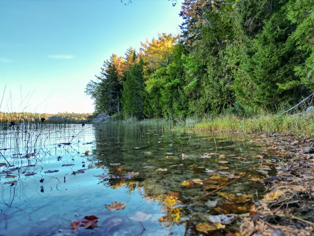 $405,000 | 0 Me-182 Route, Cherryfield, ME 04622