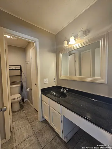 a bathroom with a sink a toilet and a vanity