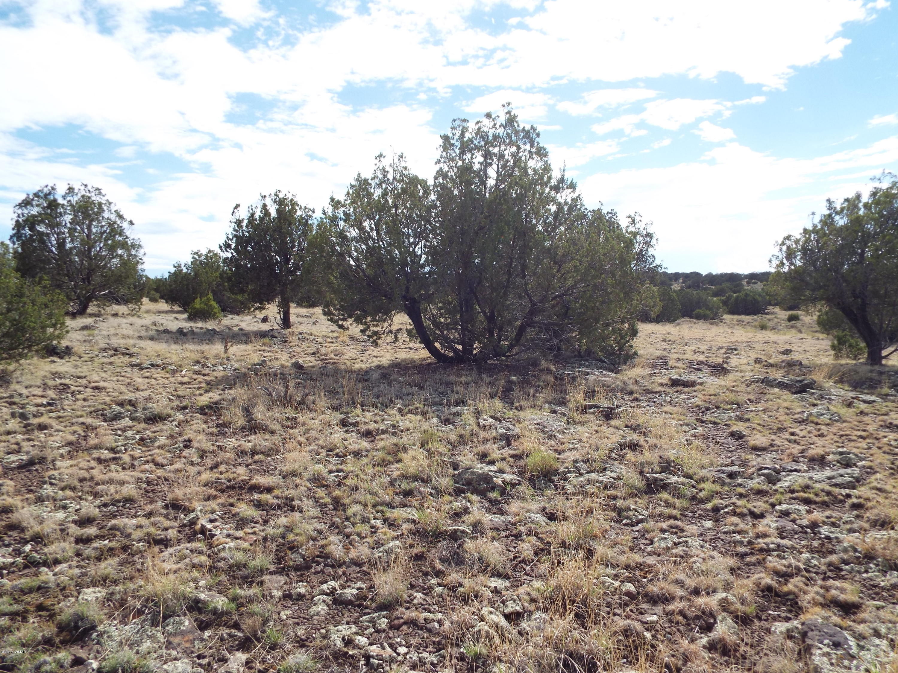 56 County Road Concho, AZ 85924 - Photo 1 of 12