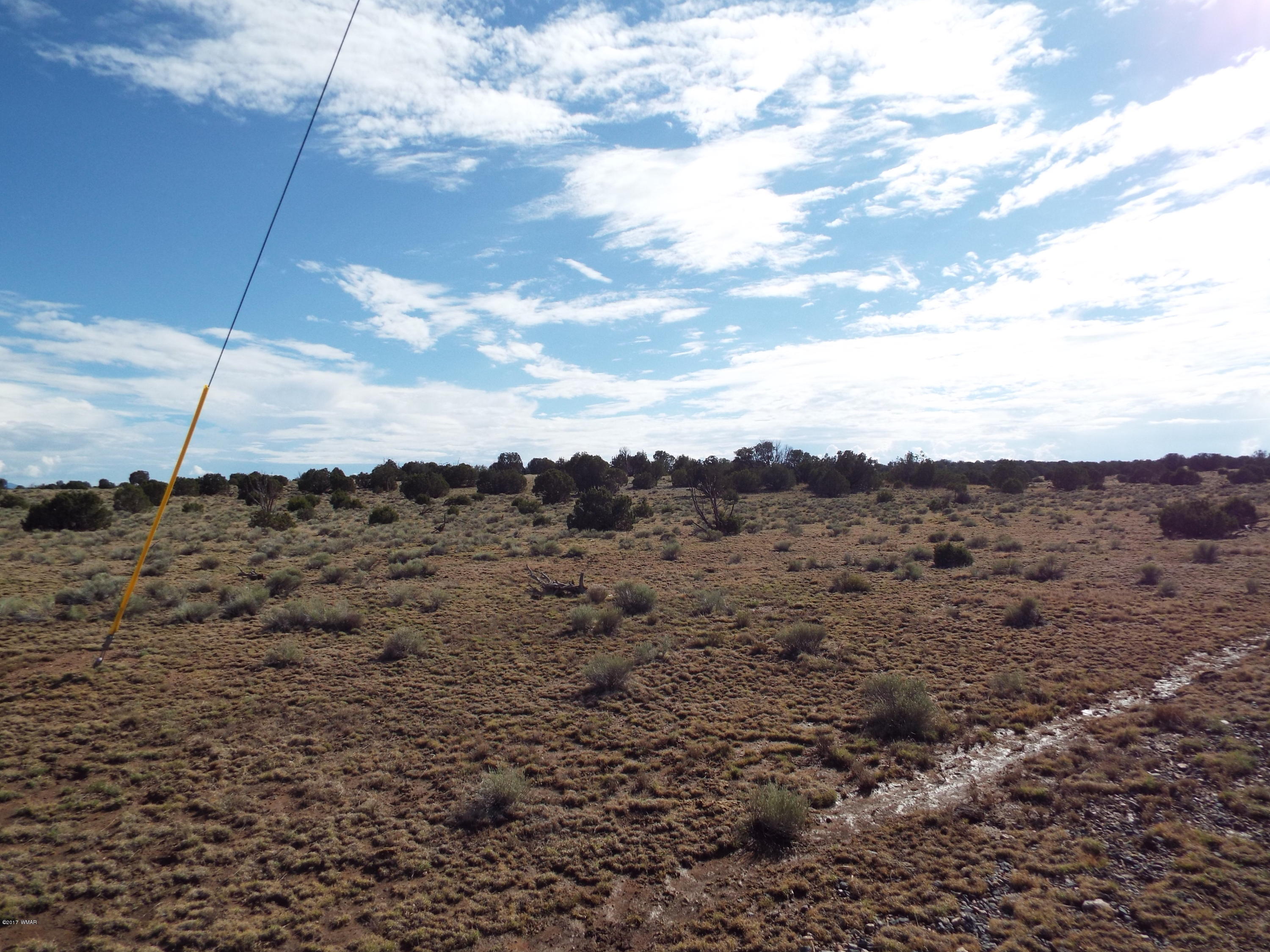 56 County Road Concho, AZ 85924 - Photo 11 of 12