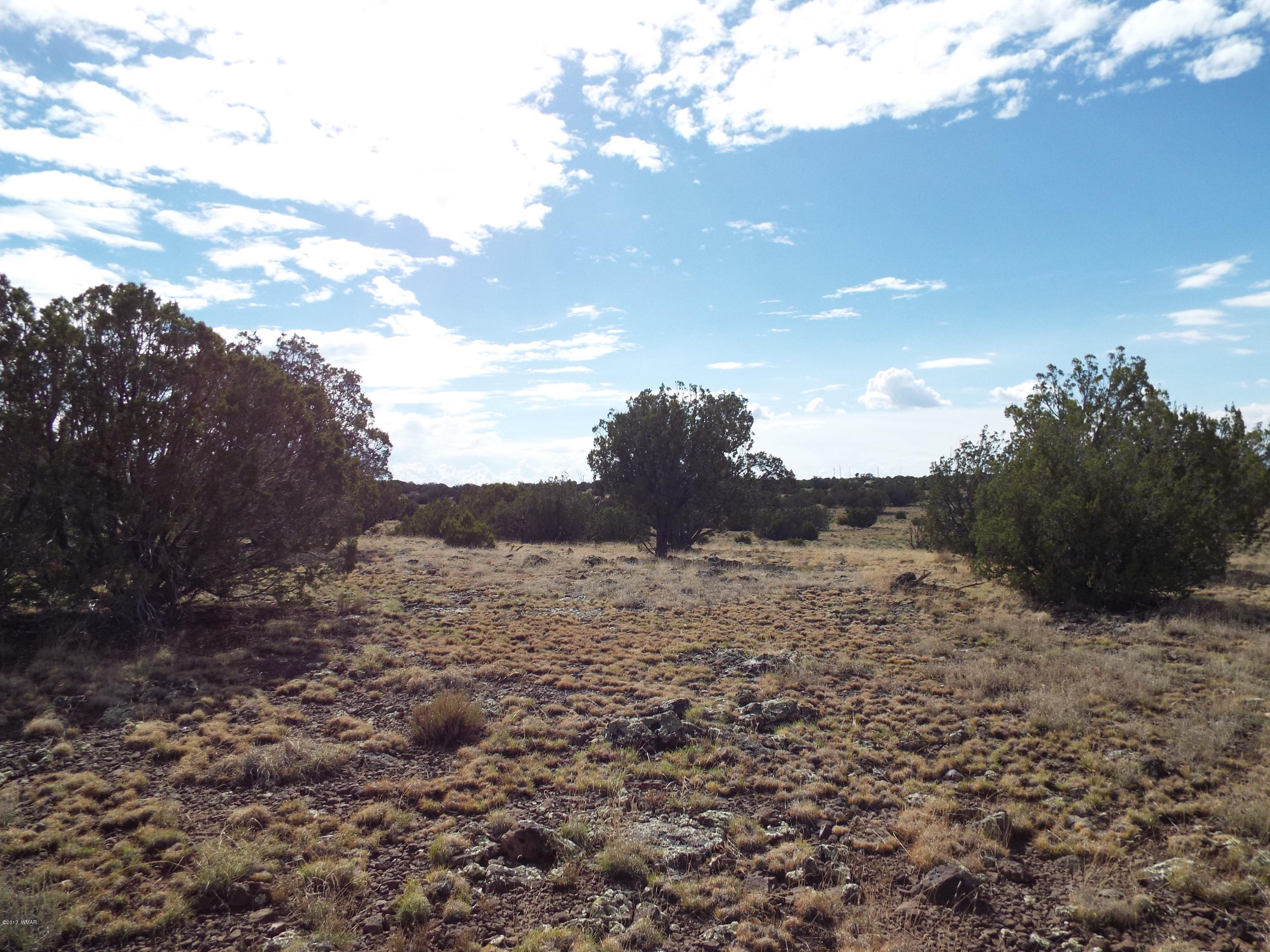 56 County Road Concho, AZ 85924 - Photo 2 of 12