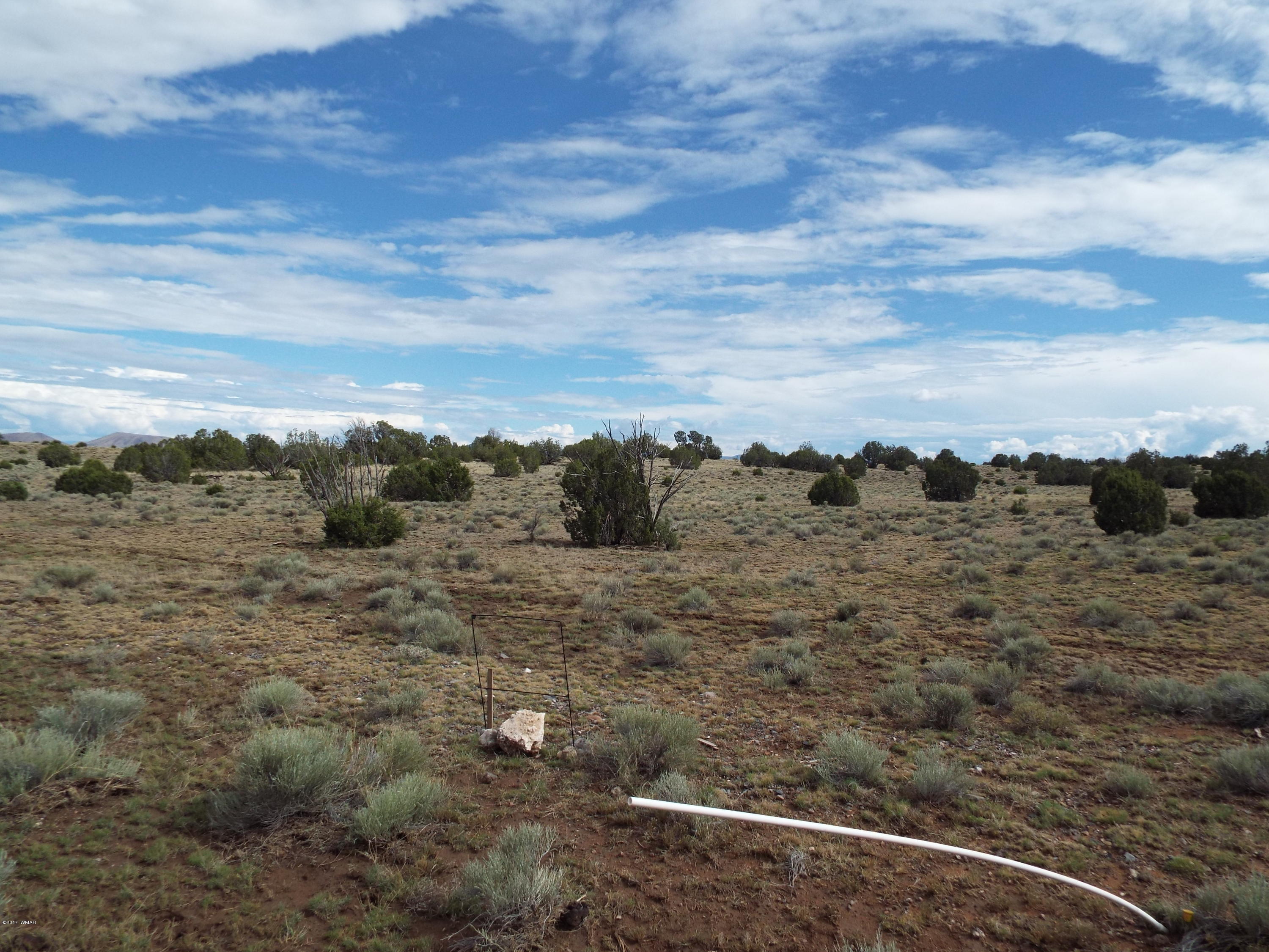 56 County Road Concho, AZ 85924 - Photo 3 of 12