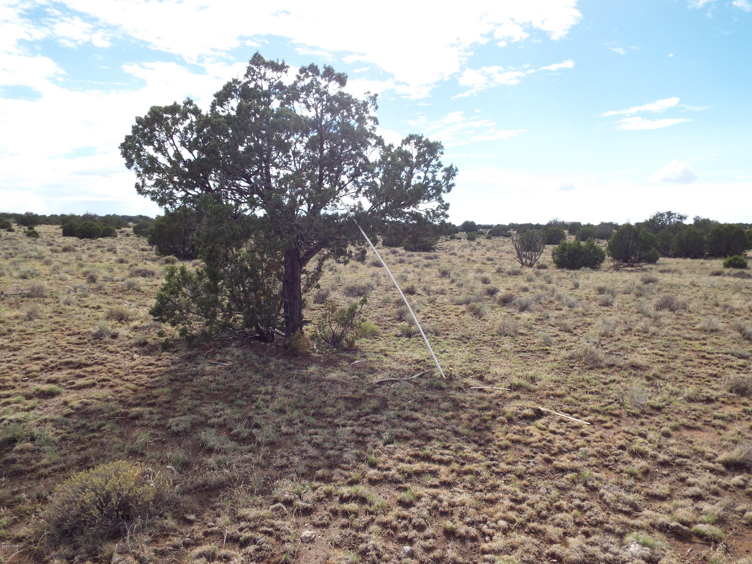 56 County Road Concho, AZ 85924 - Photo 4 of 12