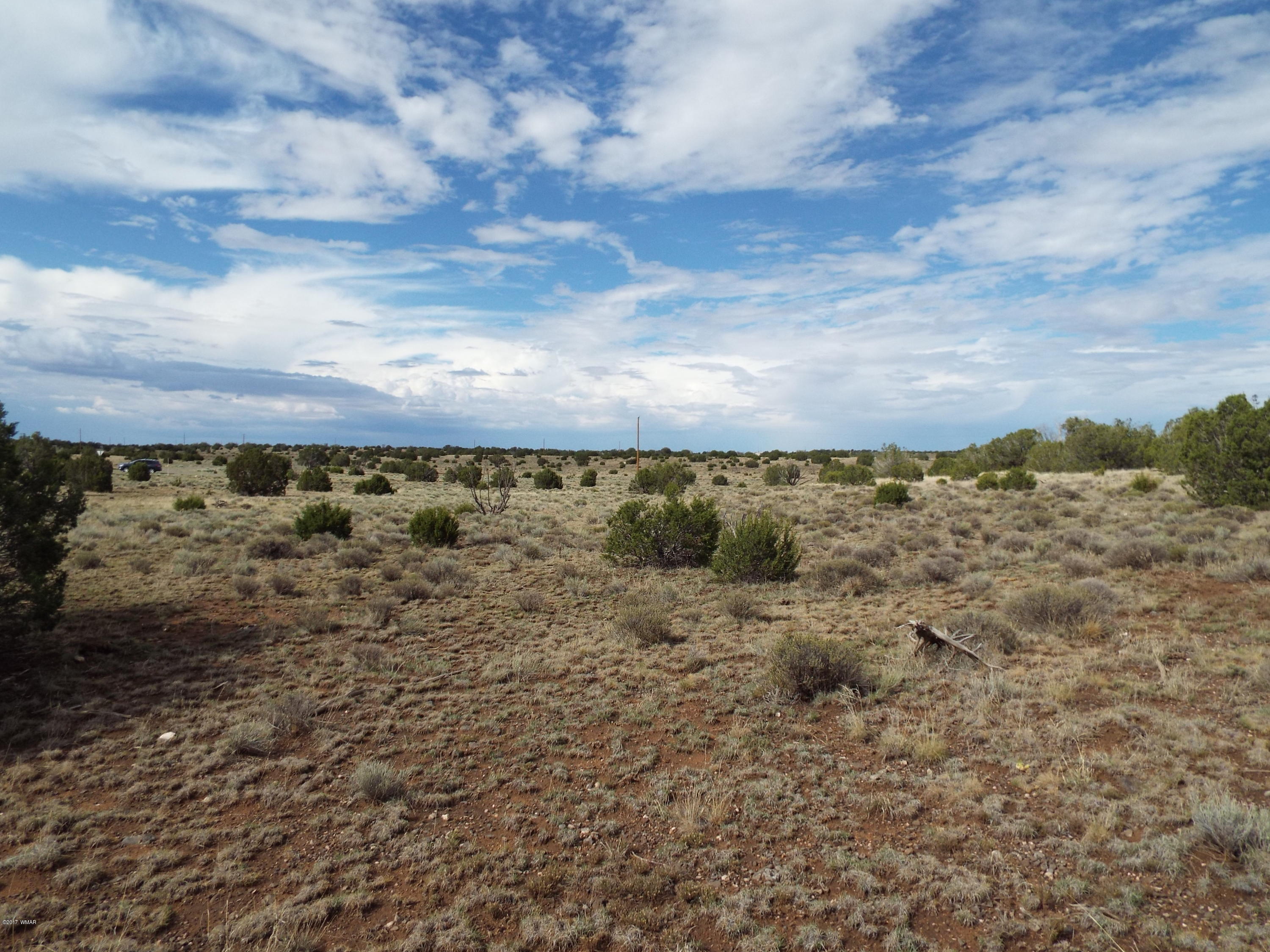 56 County Road Concho, AZ 85924 - Photo 5 of 12
