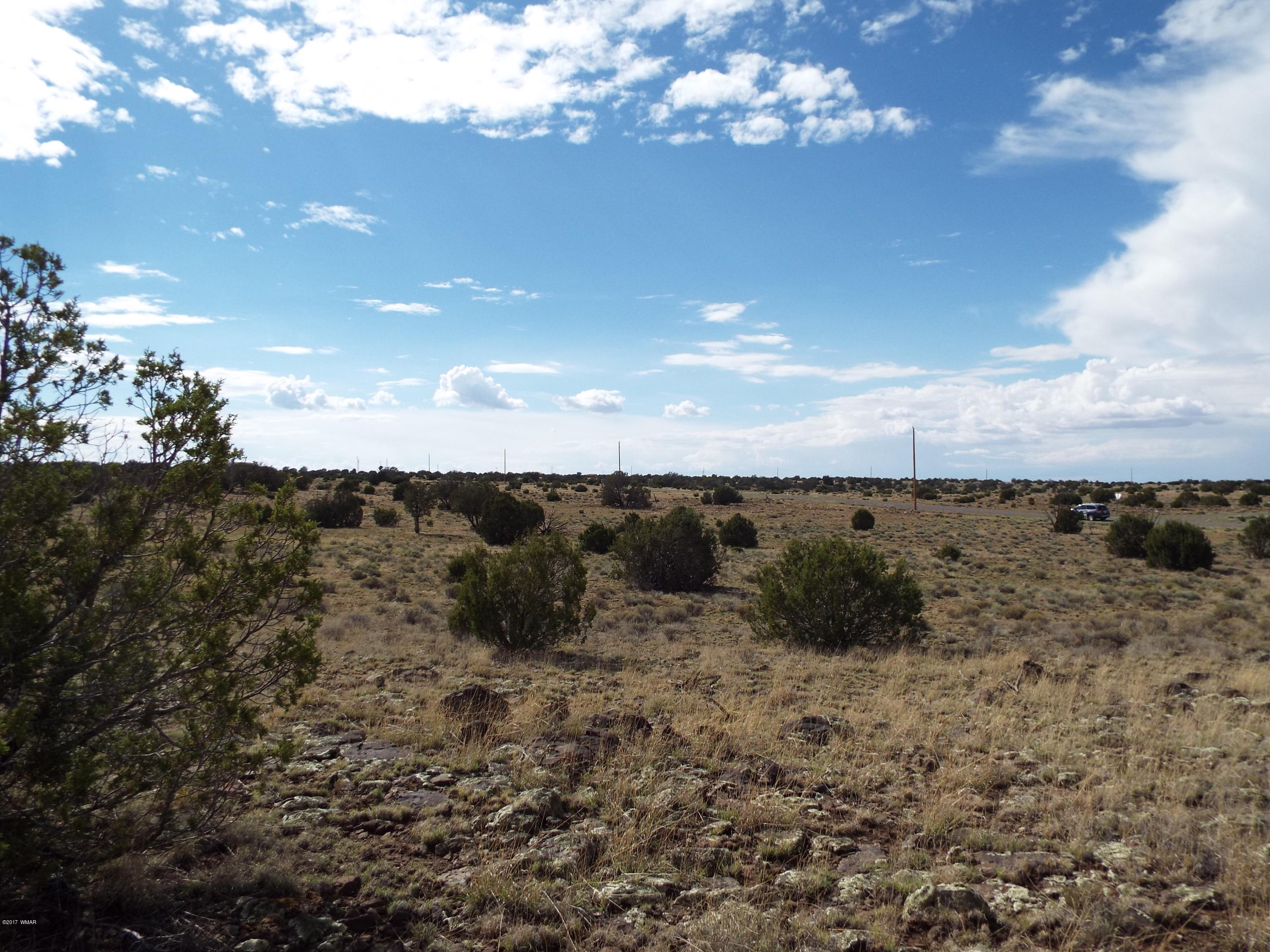 56 County Road Concho, AZ 85924 - Photo 6 of 12