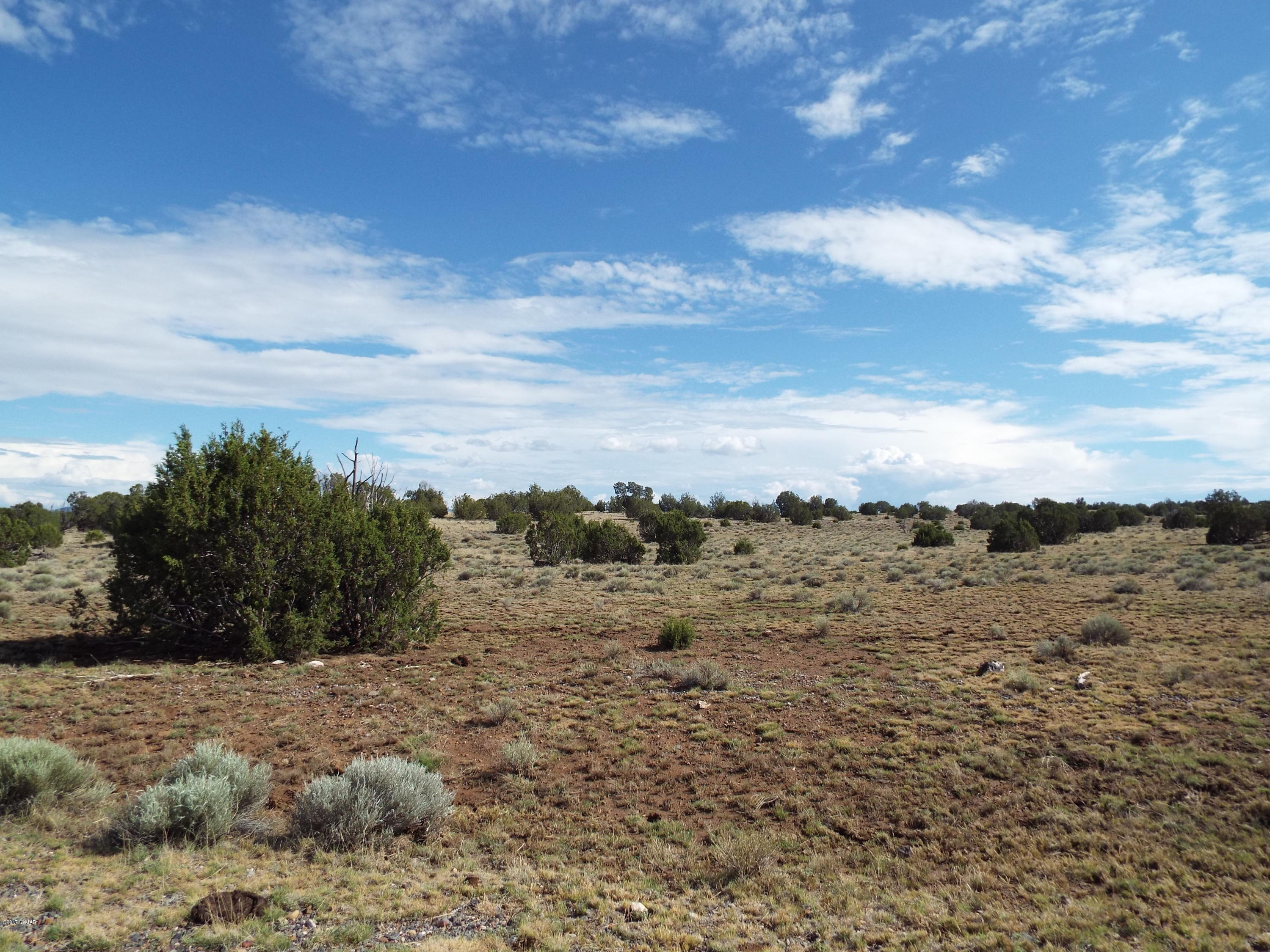 56 County Road Concho, AZ 85924 - Photo 7 of 12