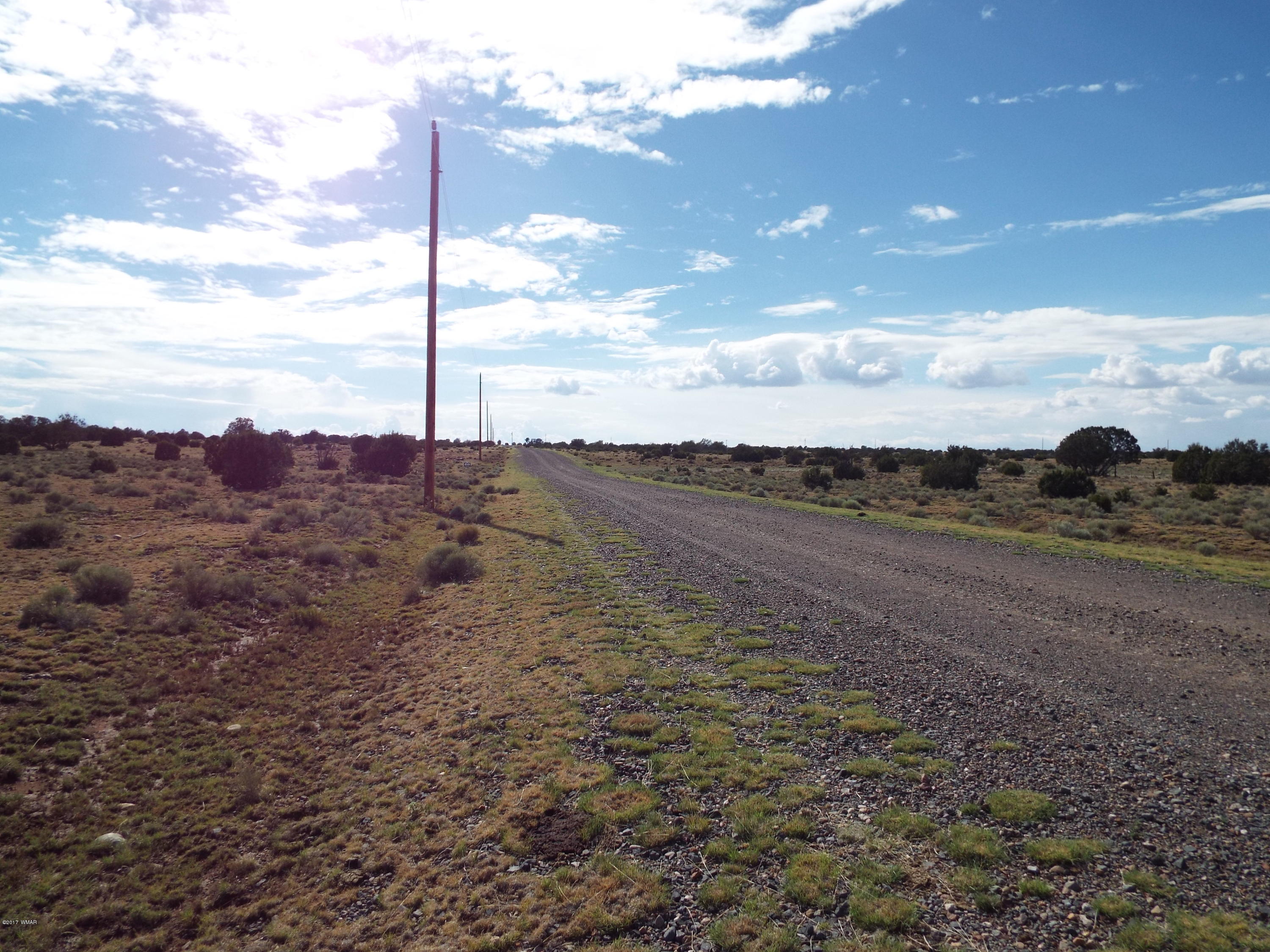 56 County Road Concho, AZ 85924 - Photo 8 of 12