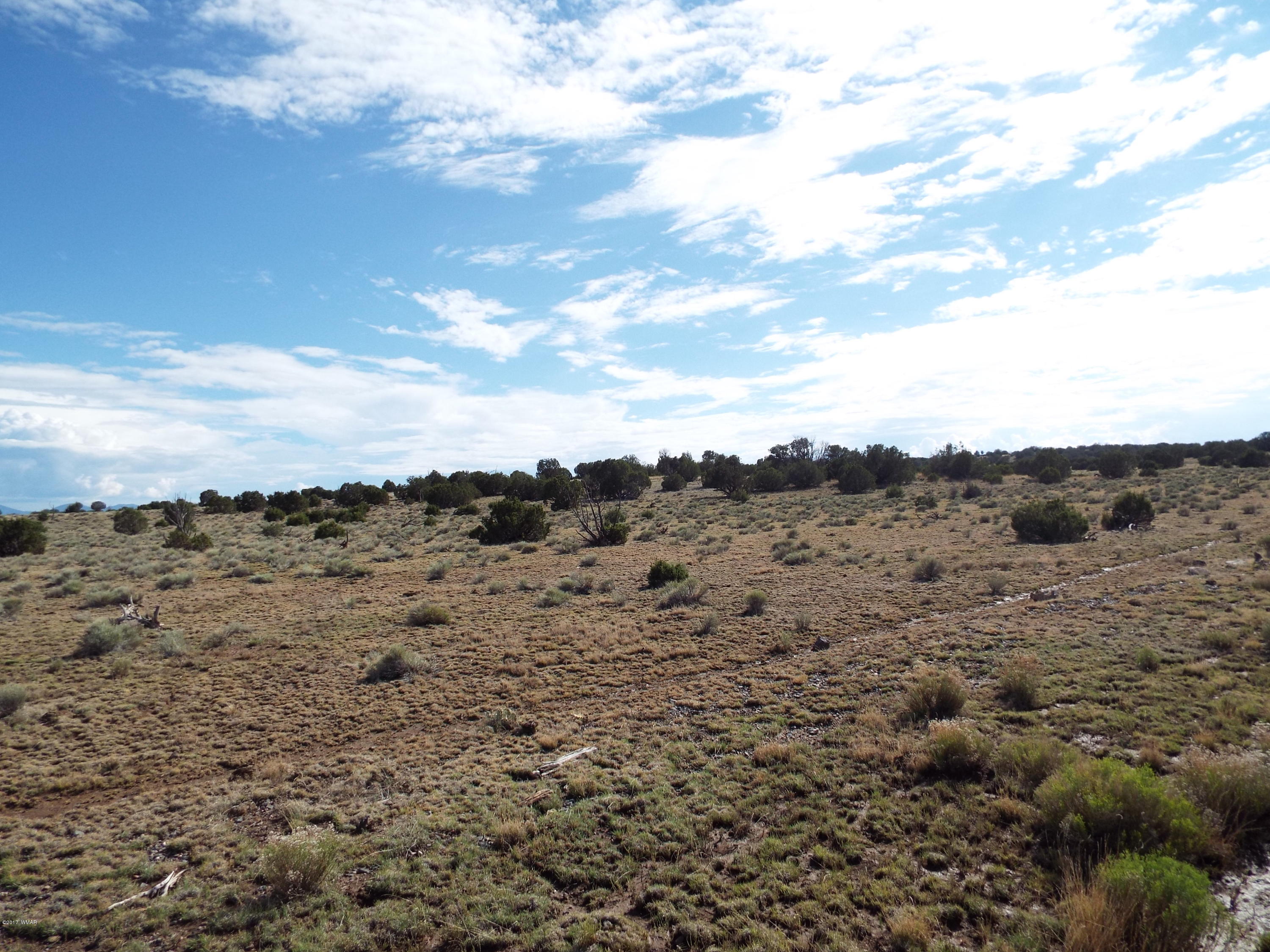 56 County Road Concho, AZ 85924 - Photo 9 of 12