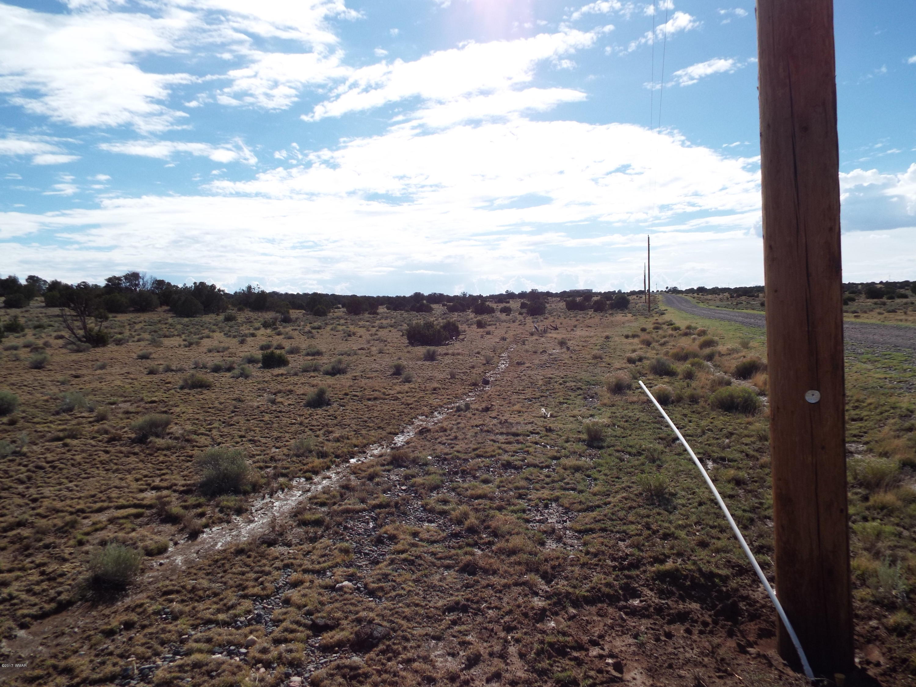 56 County Road Concho, AZ 85924 - Photo 10 of 12