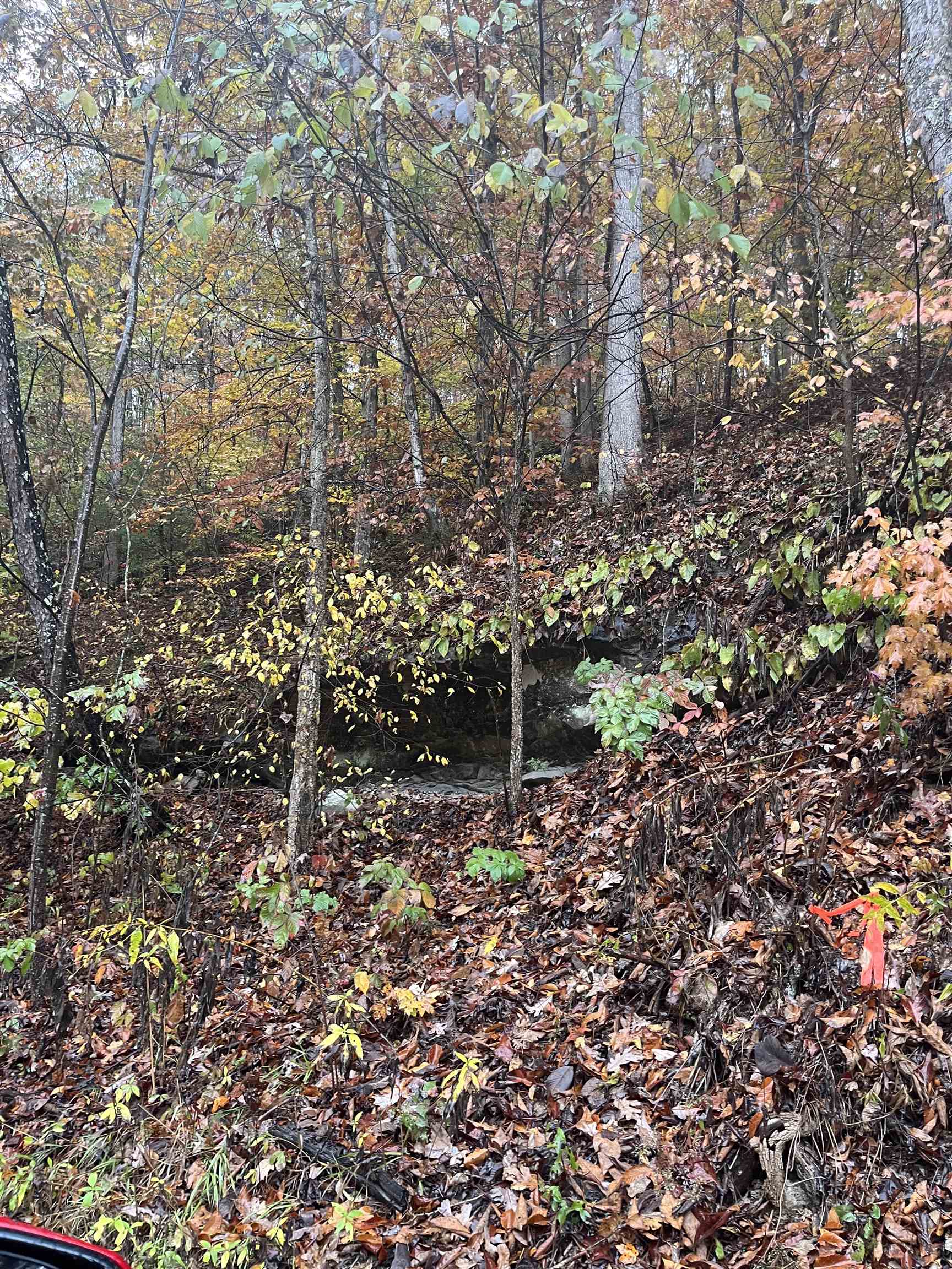 0 Sawpit Road Greenup, KY 41144 - Photo 8 of 8 Gallery Image 8