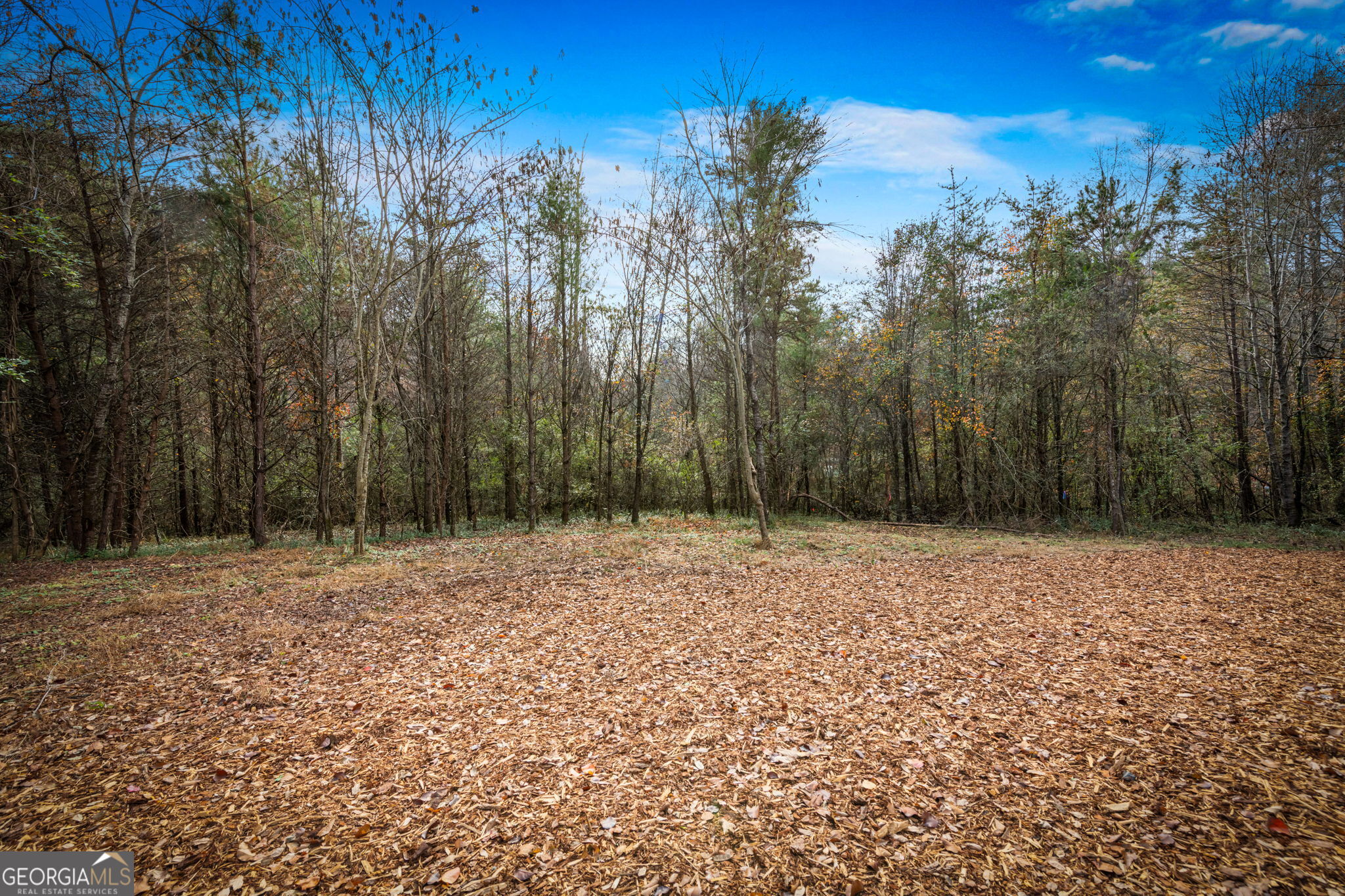 40 Cherry Street East Ellijay, GA 30540 - Photo 37 of 54