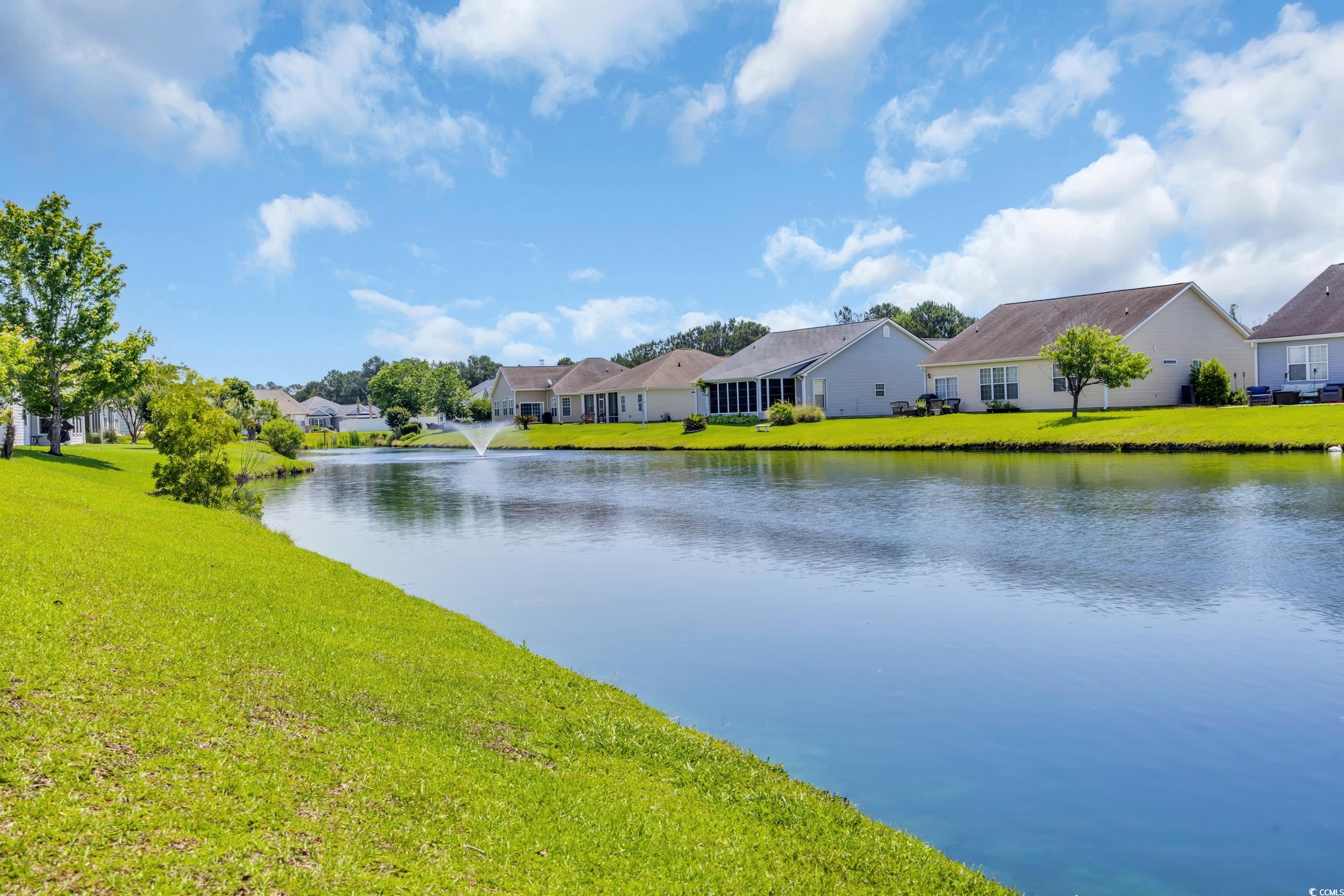 1451 Virginia Pine Drive Longs, SC 29568 - Photo 25 of 29
