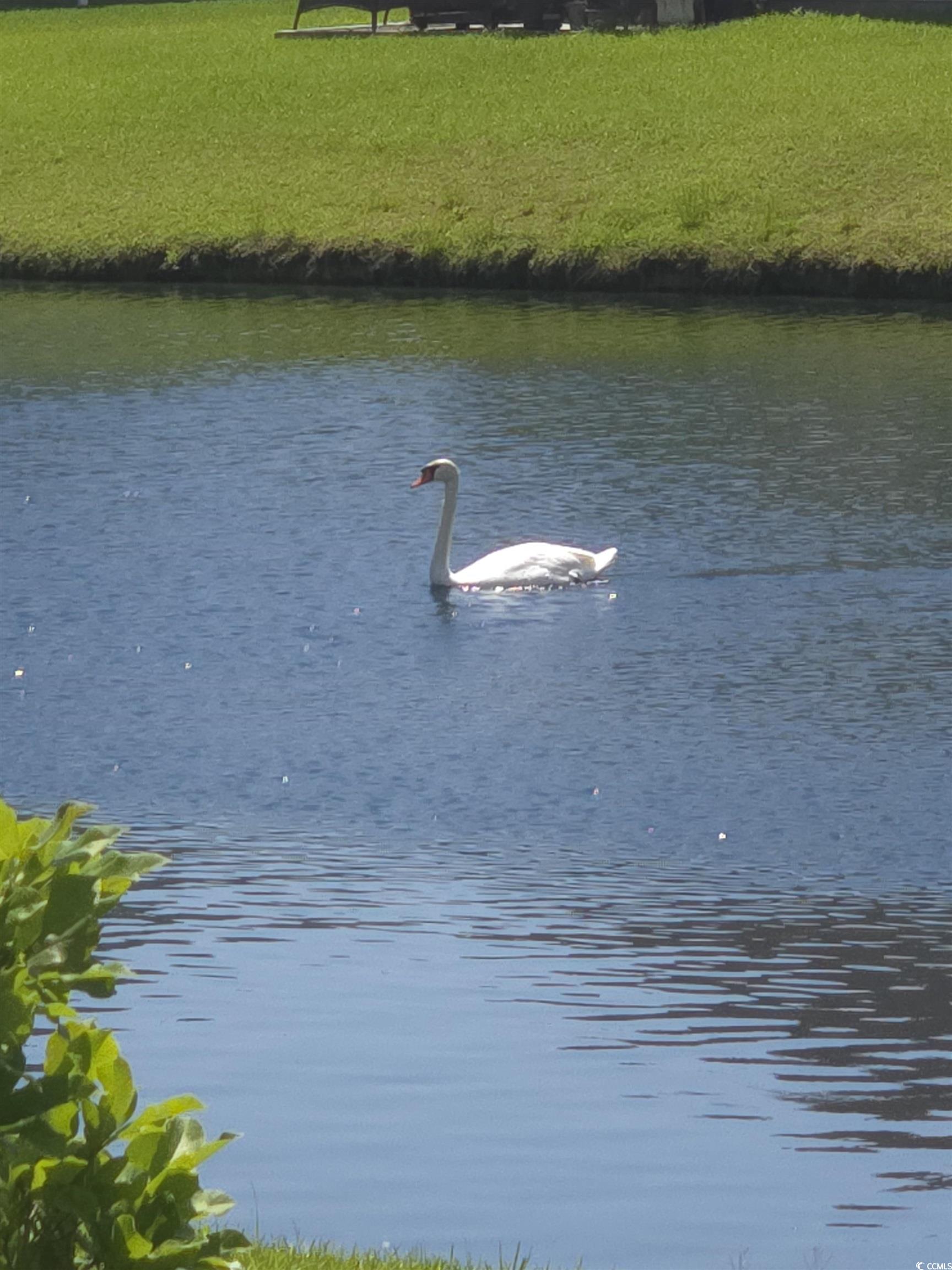1451 Virginia Pine Drive Longs, SC 29568 - Photo 26 of 29