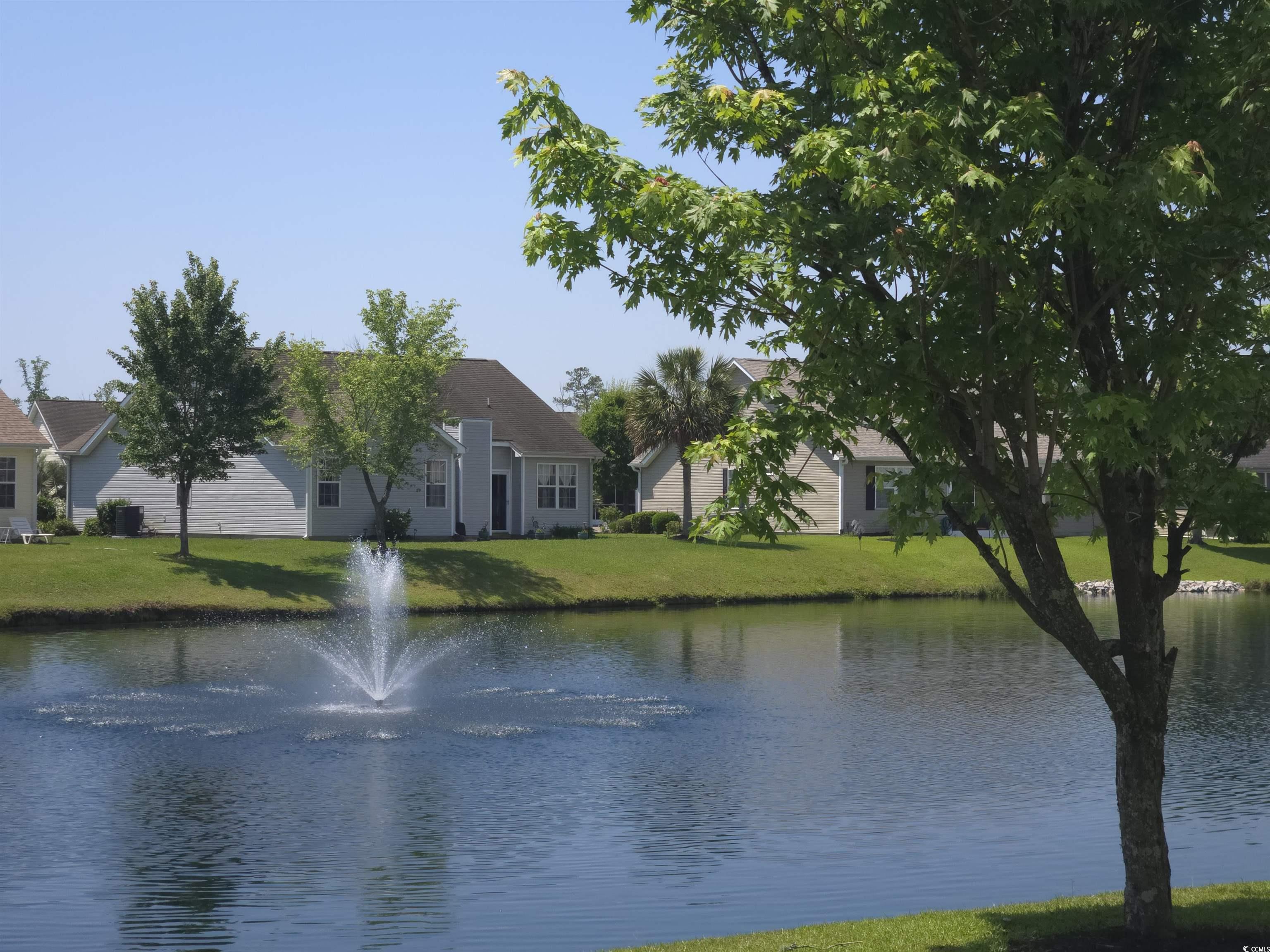 1451 Virginia Pine Drive Longs, SC 29568 - Photo 27 of 29