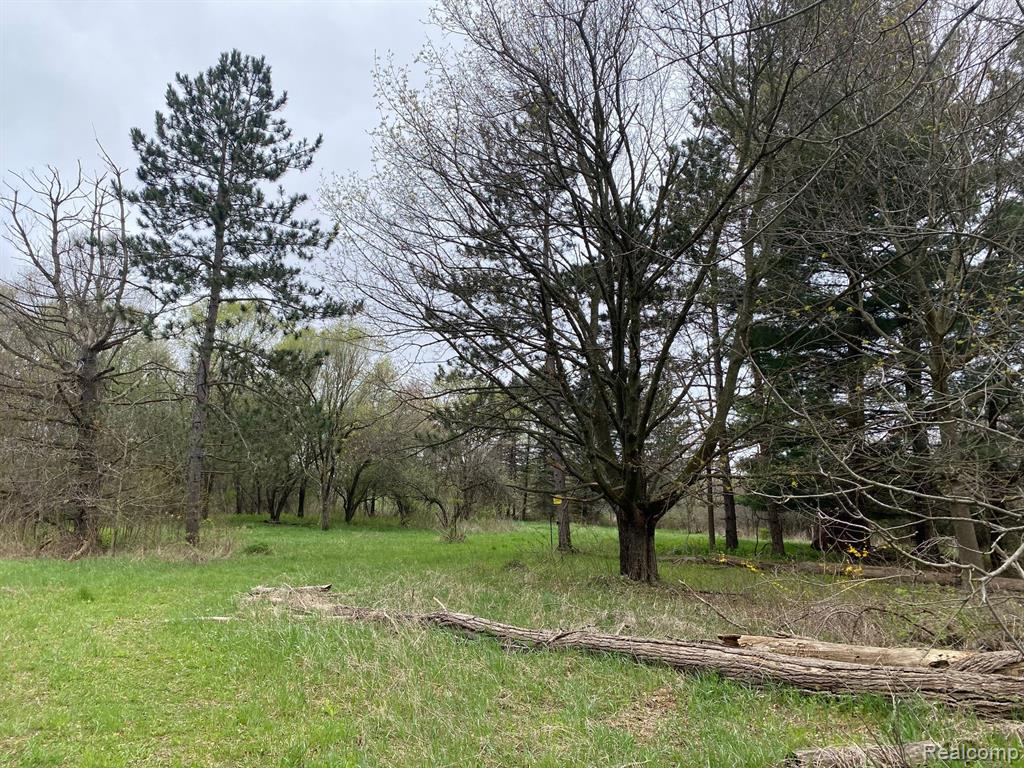 0 West Rose Center Road Holly, MI 48442 - Photo 5 of 7