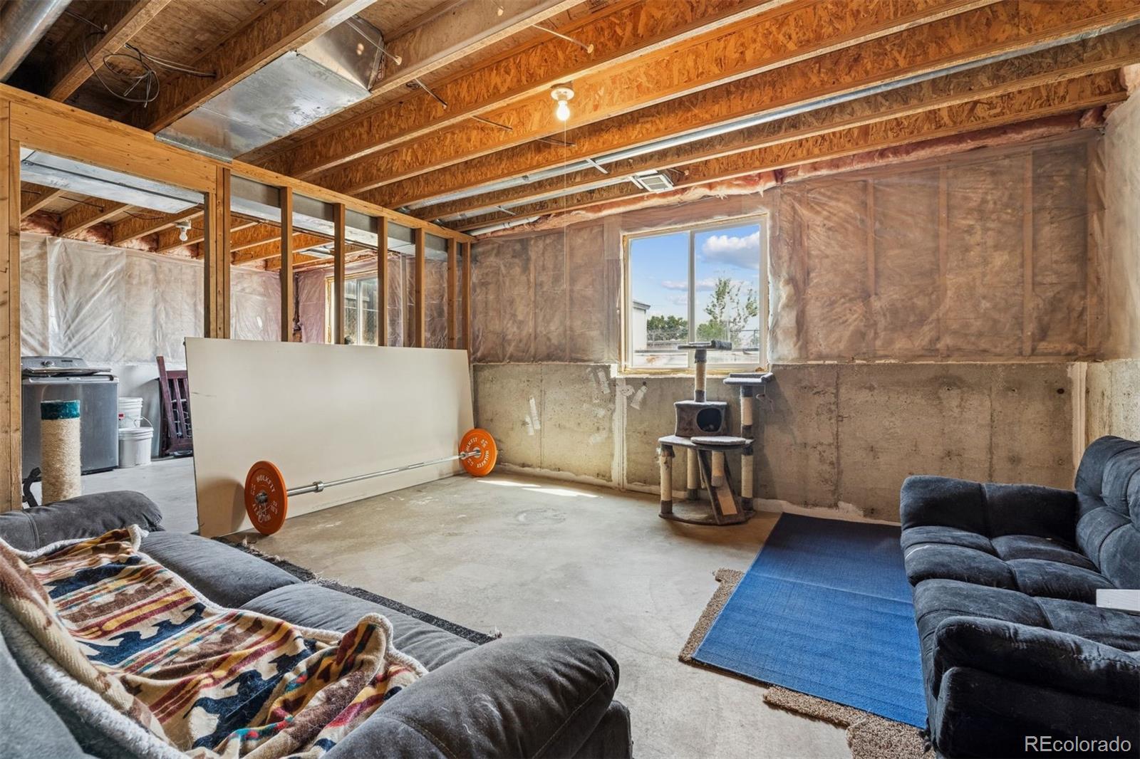 3820 Riverside Parkway Evans, CO 80620 - Photo 11 of 25 a living room with furniture and a wooden floor