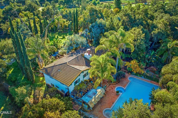 a view of a back yard
