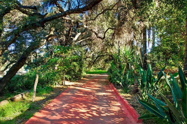 a view of a garden