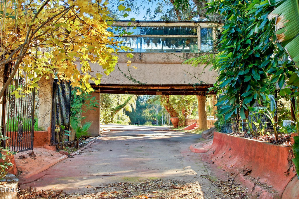 1400 Park Road Ojai, CA 93023 - Photo 14 of 67 a view of swimming pool with a patio and plants