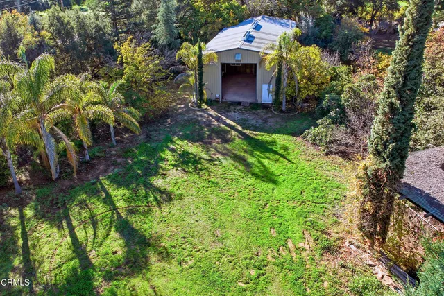 a living room with furniture a fireplace and a floor to ceiling window