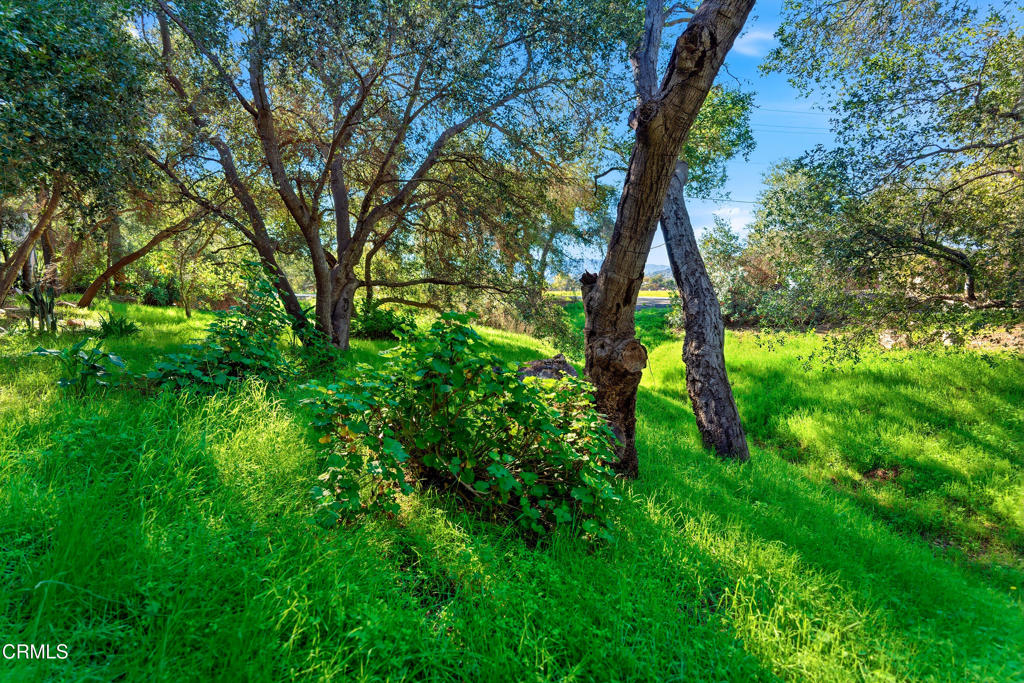 1400 Park Road Ojai, CA 93023 - Photo 45 of 67 a backyard of a house with lots of green space and chair
