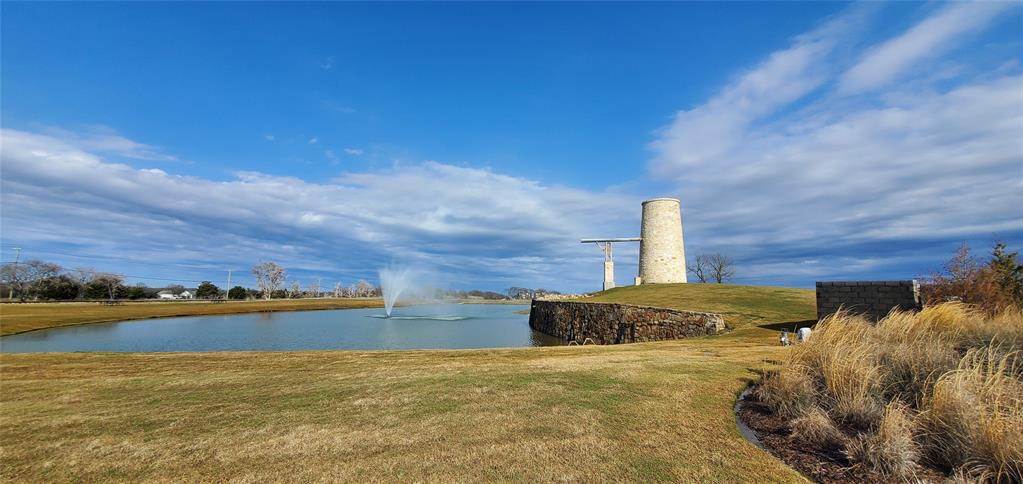 916 Elizabeth Street Anna, TX 75409 - Photo 31 of 31 a view of a house with a yard