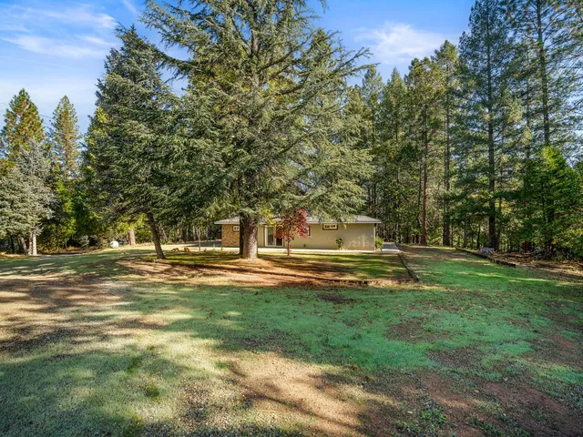 a garden with trees in the background