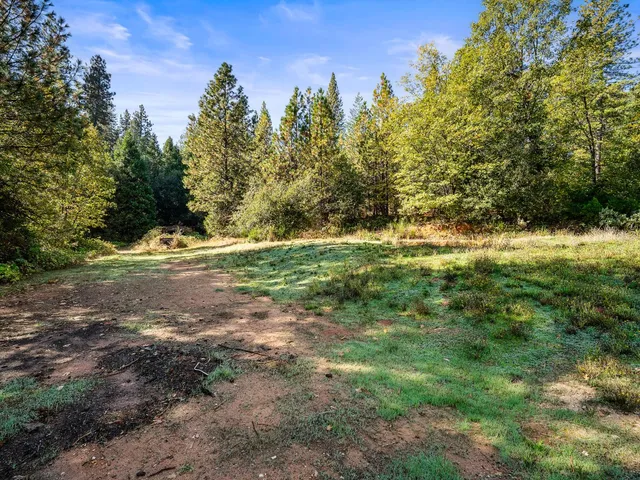 a view of outdoor space with trees all around