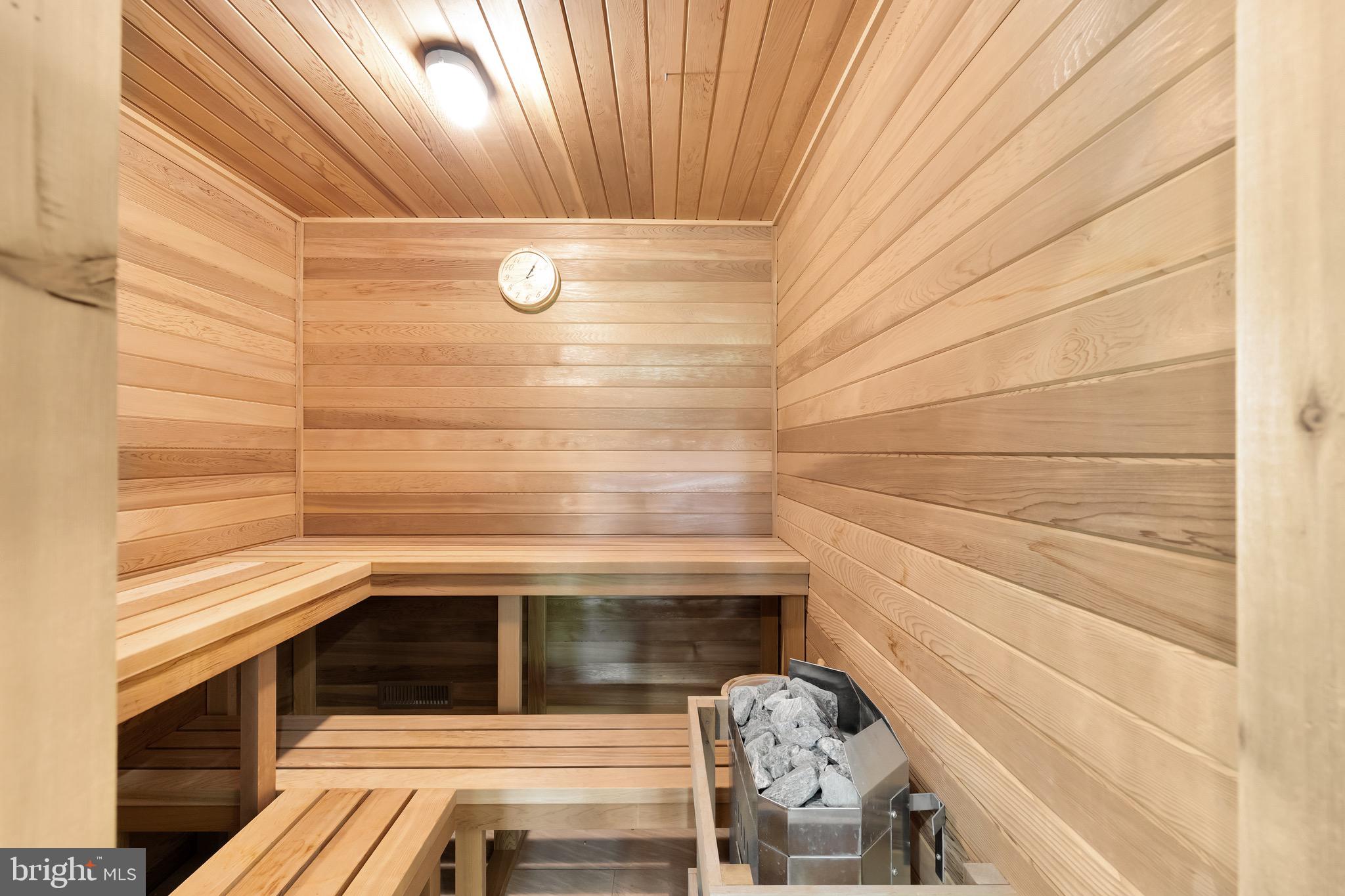 3 Bay Tree Lane Bethesda, MD 20816 - Photo 41 of 48 Sauna