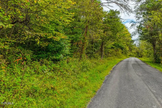 $299,900 | Tbd Butcher Valley Road, Rogersville, TN 37857