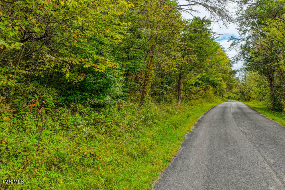 Tbd Butcher Valley Road Rogersville, TN 37857 - Photo 1 of 23 Butcher Valley MLSa (1 of 23)