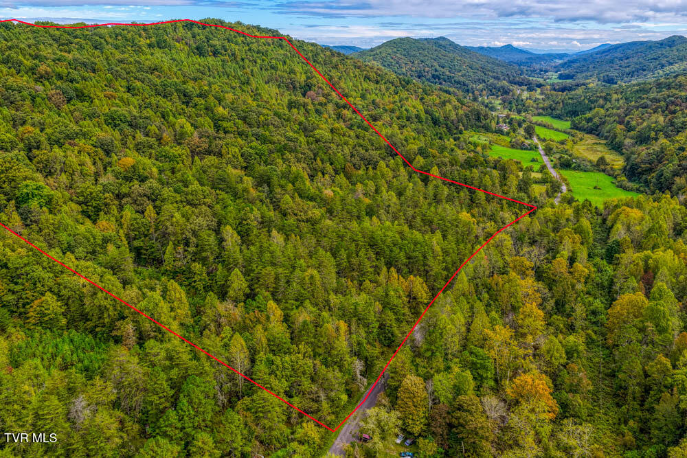 Tbd Butcher Valley Road Rogersville, TN 37857 - Photo 2 of 23 Butcher Valley MLSa (3 of 23)