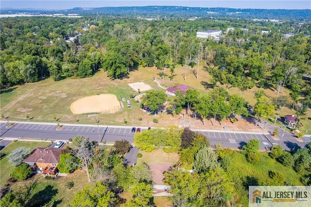 a view of a lot of trees and flowers