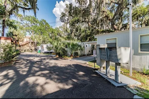 a view of a park with large trees