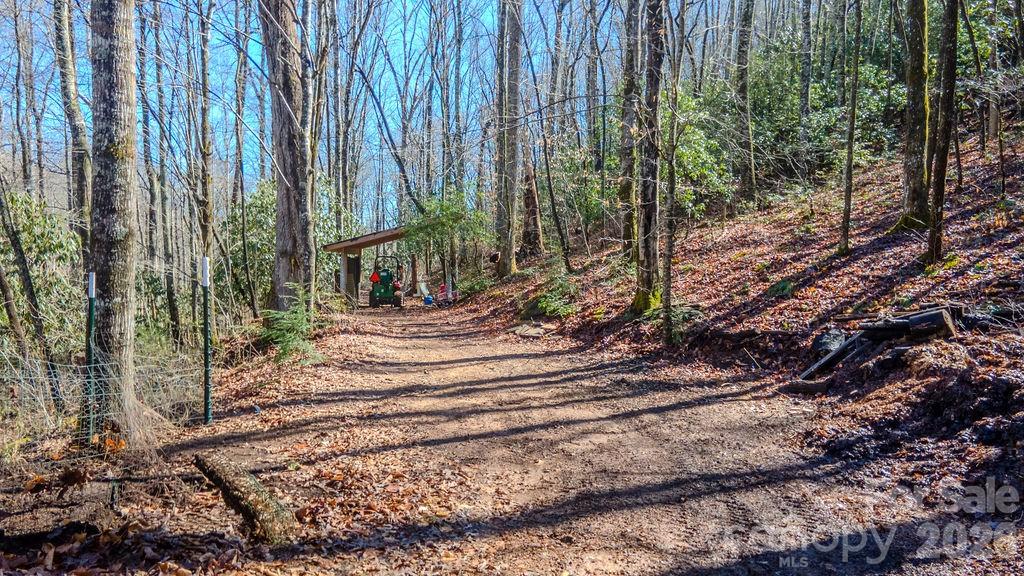 2212 Wayah Road Franklin, NC 28734 - Photo 47 of 47 a view of a backyard with trees