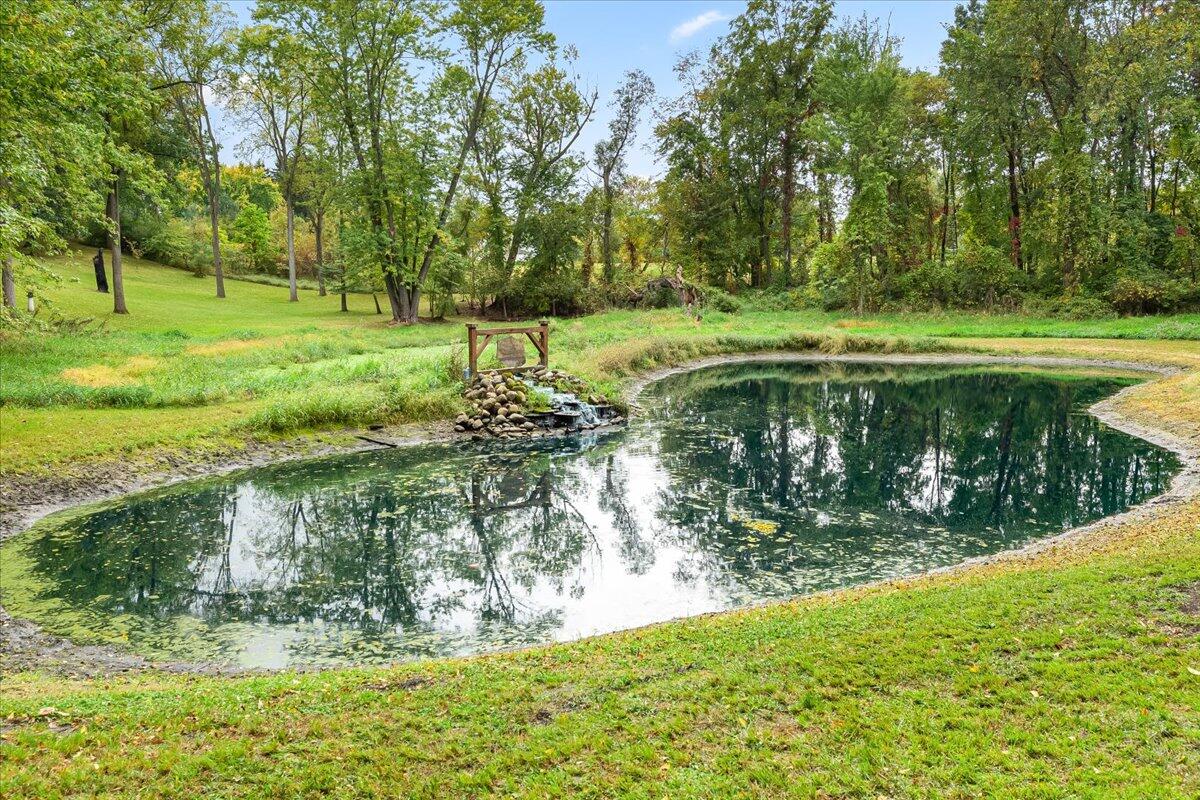 10625 Roepke Road Chelsea, MI 48118 - Photo 59 of 63 15-15.Pond