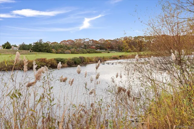 $8,999 | 2995 Laurel Trail, Laurel, NY 11948