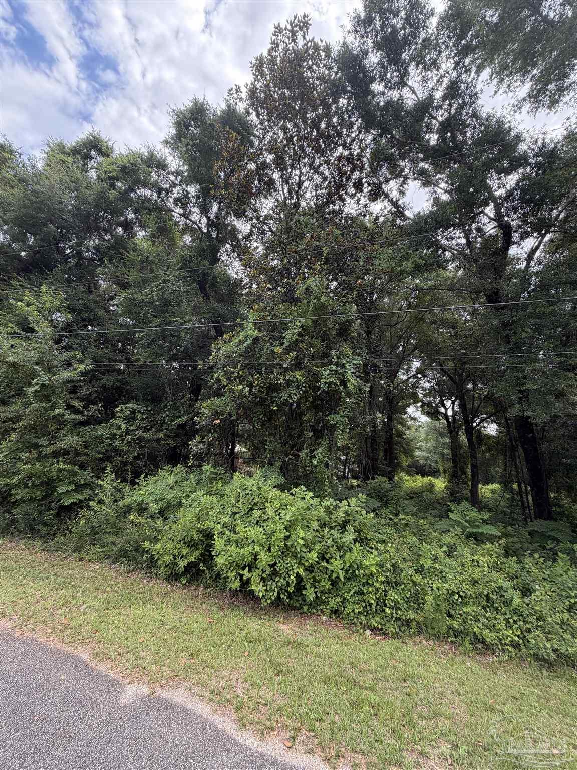 0 Shell Road Milton, FL 32583 - Photo 6 of 6 a view of a garden