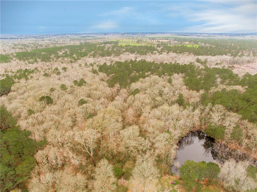 0 Oil Field Road Kentwood, LA 70444 - Photo 1 of 10 Gallery Image 1