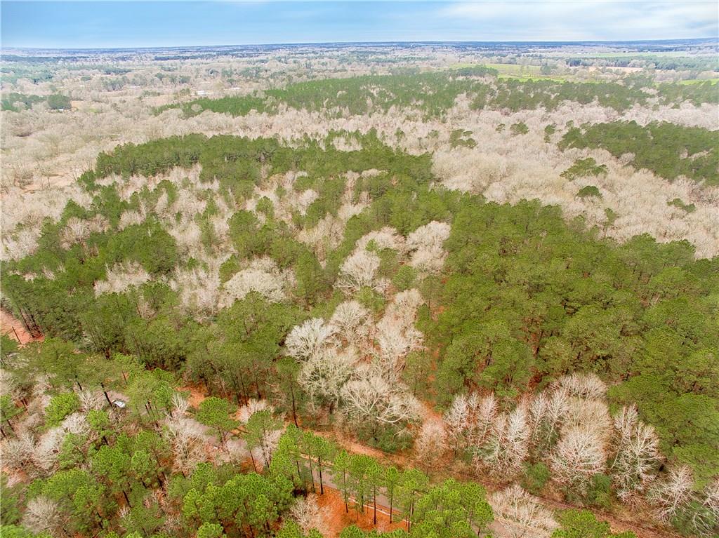 0 Oil Field Road Kentwood, LA 70444 - Photo 3 of 10 Gallery Image 3