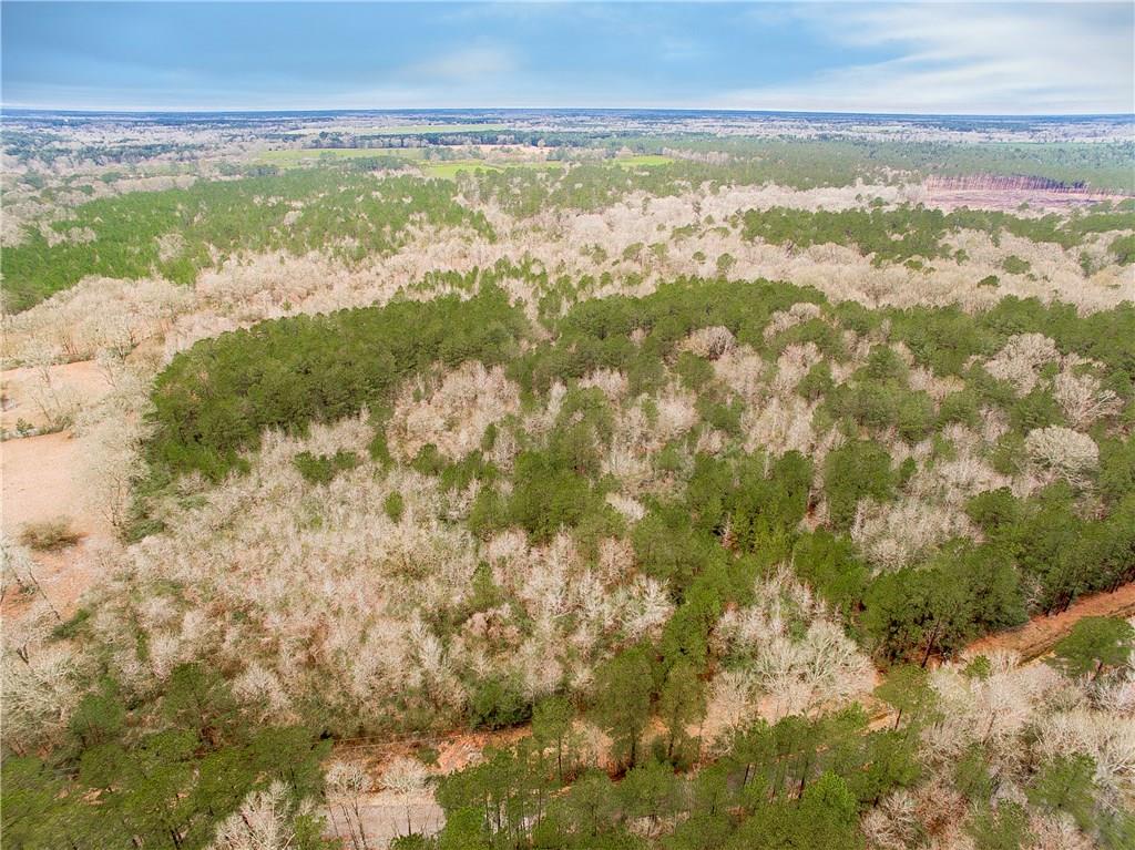 0 Oil Field Road Kentwood, LA 70444 - Photo 5 of 10 Gallery Image 5