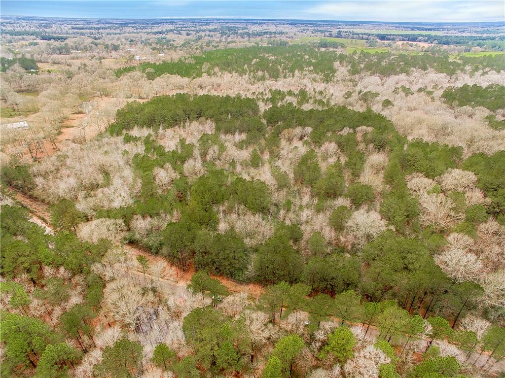 0 Oil Field Road Kentwood, LA 70444 - Photo 6 of 10 Gallery Image 6