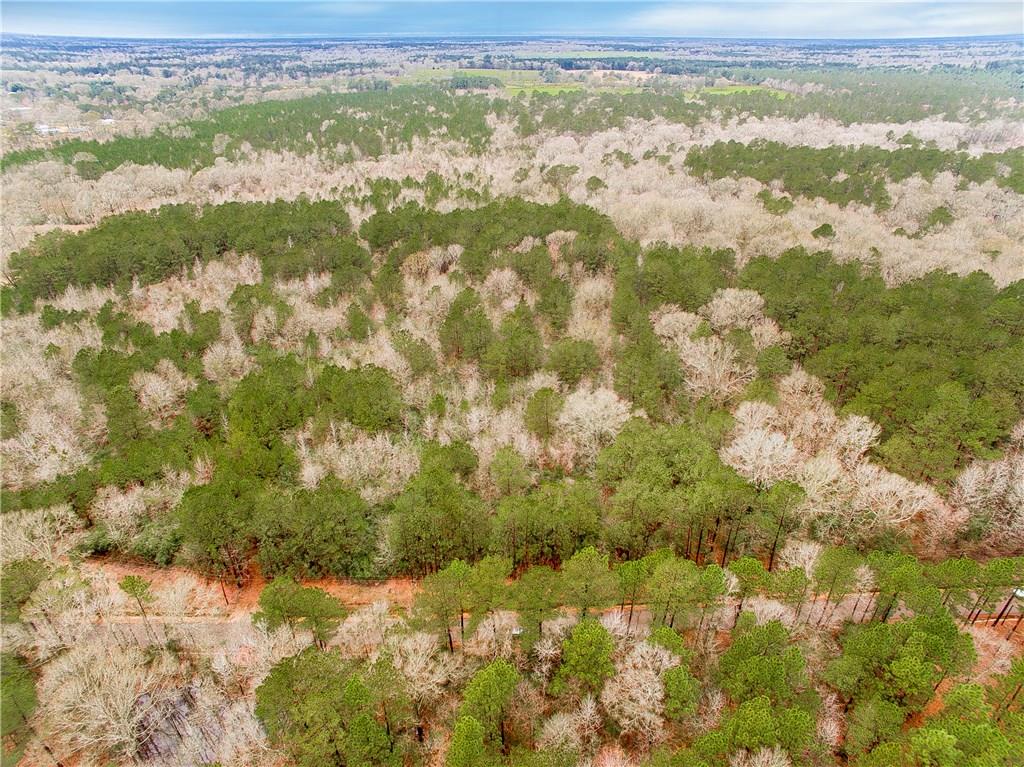 0 Oil Field Road Kentwood, LA 70444 - Photo 7 of 10 Gallery Image 7