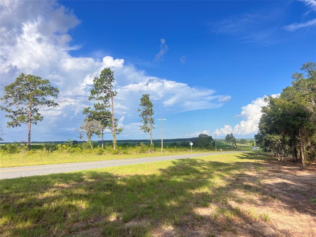 Levy Street Williston, FL 32696 - Photo 21 of 26