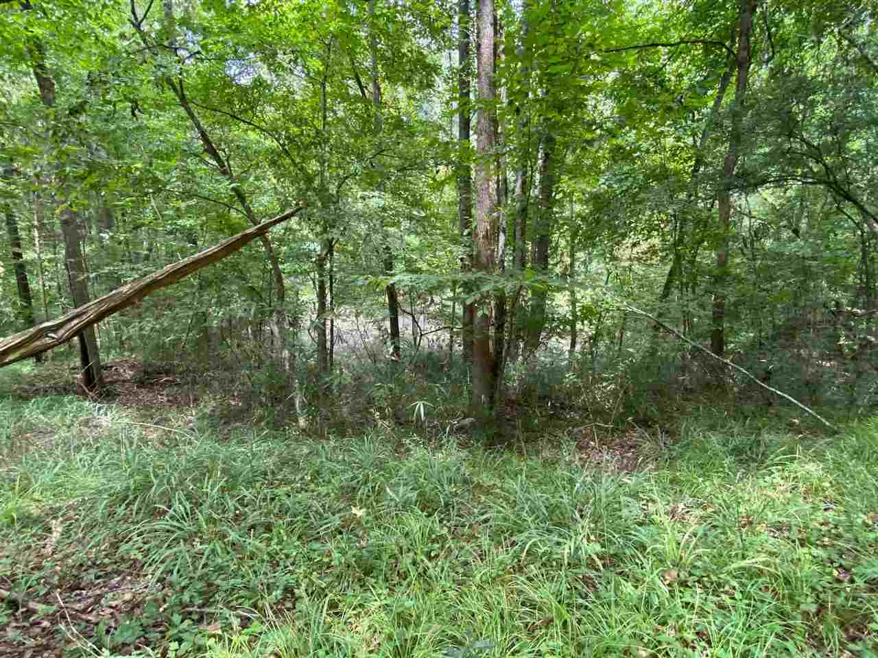 311 Jackson Street Edwards, MS 39066 - Photo 30 of 33 Photo 30