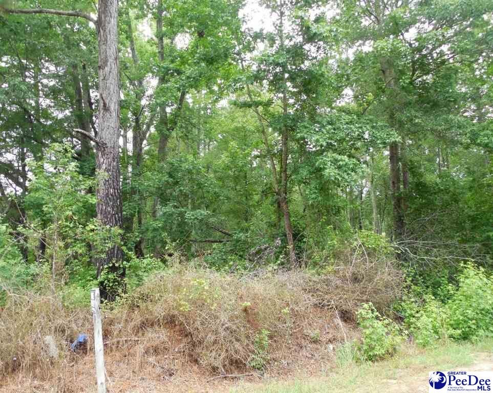 Tbd Tbd Shuler Road Florence, SC 29506 - Photo 1 of 1 Gallery Image 1